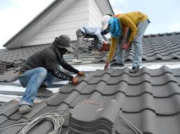 Best Roof Maintenance and Cleaning  in Renville, MN